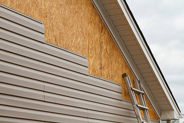 Affordable Siding Repair and Maintenance Services in East End, AR